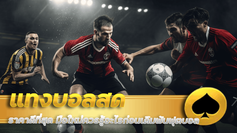 แทงบอลสด SNOWY ราคาดีที่สุด